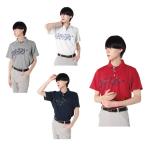  Beverly Hill z Polo Club BEVERLY HILLS POLO CLUB Golf одежда рубашка-поло короткий рукав мужской panel рисунок ребра короткий рукав Polo 5232-8633