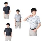  Beverly Hill z Polo Club BEVERLY HILLS POLO CLUB Golf одежда рубашка-поло короткий рукав мужской общий рисунок принт ребра воротник короткий рукав Polo 5232-8640