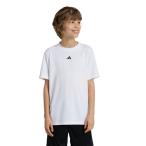 アディダス Tシャツ 半袖 ジュニア トレイン エッセンシャルズ ロゴ レギュラーフィット 半袖Tシャツ キッズ IW0853 JTH37 adidas
