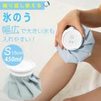 涼感アイテム Icy氷嚢 S GJ-ヒョウノウS 冷感 接触冷感 体感 クール 冷たい アイス 氷のう