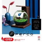 ☆ジェックス GEX 熱帯魚用品 グラスアクア PERCO B-DW GEX4303 【ご自宅配送限定】‥