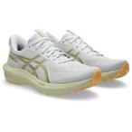 Asics asics бег обувь мужской GT-1000 14 1011C077-100