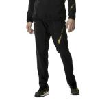 ショッピング野球 ミズノ(MIZUNO) 野球 ジャージパンツ メンズ テックシールドパンツ 12JFCW7709