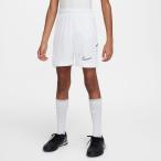  Nike (NIKE) футбол одежда шорты Nike красный temi- Junior dry Fit 18cm футбол шорты HJ3718-100