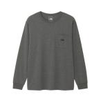 ザ・ノース・フェイス THE NORTH FACE 長袖シャツ メンズ レディース ロングスリーブハイカーズティー Hikers Tee グレー NT62501-ZC ノースフェイス