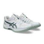 アシックス(asics) ハンドボールシューズ メンズ ゲル タスク GEL-TASK 4 屋内 1071A103-102