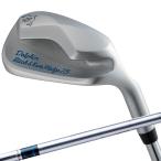  Kasco (KASCO) Golf Club Wedge мужской DOLPHIN PITCH & RUN WEDGE DPW-225 48 раз Nippon Shaft производства Dolphin оригиналы chi-ru вал 