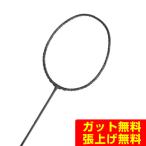 ゴーセン GOSEN バドミントンラケッ�
