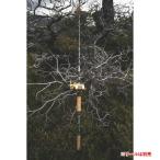 ジェットセッター ベイトロッド Jet Setter 86C DS ハチロク Jet Setter_86C_DS Jet Setter 【メーカー取り寄せ】 【ご自宅配送限定】‥