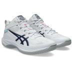  Asics (asics) корзина обувь мужской женский GELHOOP V17 EX широкий 1063A097-104