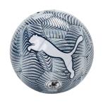  Puma (PUMA) футбольный мяч 3 номер одобренный мяч финальный графика футбольный мяч HS 085213 02 3G