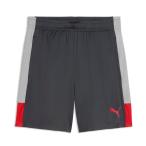  Puma (PUMA) футбол одежда шорты мужской Q1 IndivL TR шорты 660976 01