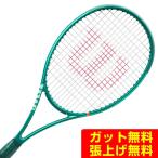  Wilson (Wilson) бейсбол теннис ракетка лезвие 98 16X19 V10 WR207811U [ внутренний стандартный товар ]