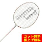  Prince PRINCE бадминтон ракетка ti- чай X wings D-TX WINGS 7BJ096