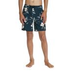  Quick Silver QUIKSILVER шорты для серфинга мужчина Junior трусы KBS262002-BLK [ внутренний стандартный товар ]