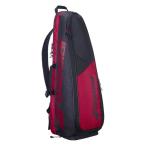  Babolat Babolat теннис бадминтон чехол для ракетки мужской женский Backrack 3 757024 [ внутренний стандартный товар ]