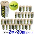  Dunlop DUNLOP бейсбол теннис мяч легализация лампочка 30 шт. комплект four to2 лампочка FORT DFFYL2TIN