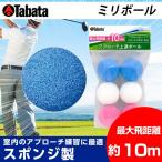 タバタ TABATA ゴルフ 練習用 練習器具 トレーニングボール 練習器 ミリボール GV-0304