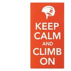 ノースフェイス THE NORTH FACE TNF PRINT STICKER TNF プリントステッカー NN31710 CO 【メール便可】 od