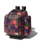  North Face рюкзак Junior Sunny туристский фургон 40+6 NMJ71700 od