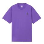 【メール便送料無料】ザ・ノース・フェイス Tシャツ 半袖 メンズ ショートスリーブスモールボックスロゴティー NT32445 TP ノースフェイス
