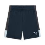  Puma (PUMA) футбол одежда шорты мужской футбол INDIVILIGA TR шорты 660976 02 sc