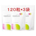 エクエル 大塚製薬 パウチタイプ 120粒3袋セット