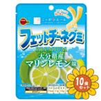 「セット販売」「ブルボン」フェッ