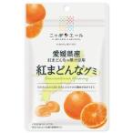 「セット販売」「全国農協食品」　愛媛県産紅まどんなグミ　40ｇ×10個セット　