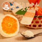 丸ごとみかんチーズケーキ6個セット（化粧箱入り） 道後ミルクチーズケエキ 冷凍 洋菓子 お菓子 お取り寄せ 愛媛 ギフト　スイーツ　ヒルナンデス