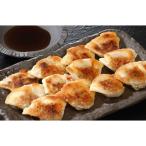 兵庫　神戸南京町 「大同行」謹製　一口餃子 ギョーザ 中華 美味しい グルメ 手土産 差し入れ お土産 人気 ギフト おいしい プレゼント 有名 中華 おかず