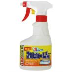 カビトリ用洗剤 泡タイプ 300ml