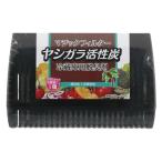 ライオンケミカル マジックフィルター ヤシガラ活性炭 冷蔵庫用脱臭剤