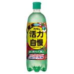 ¥Õ¥Þ¥¥é¡¼ ¥«¥À¥ó ¥·¥ã¥ï¡¼±ÕE 1000ml