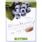 �ϥ��ݥͥå��� �������� �֥롼�٥꡼�� 30����