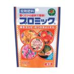 プロミックシンビジューム・クンシラ...