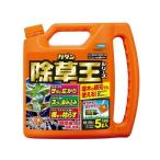 【お一人様1個限り特価】 フマキラー カダン 除草王 ザッソージエース 大容量 5L