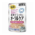 (まとめ買い×48個セット)アイシア 健康缶 パウチ オーラルケア まぐろ とろみ 40g 猫用 (送料無料)
