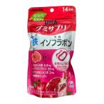 UHA味覚糖 グミサプリ 鉄+大豆イソフラボン 14日分 28粒入
