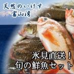 天然のいけす 富山湾氷見漁港水揚げ 旬の鮮魚セット 4000円