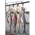  лосось арамаки ( средний .*1 подлинный товар )