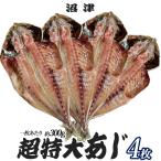  Numazu сушеный продукт очень большой ..300g передний и задний (до и после) .4 листов ставрида японская сушеный продукт комплект популярный сушеный продукт .... рефрижератор Numazu название производство шнурок. выгодная покупка отметка . покупка 
