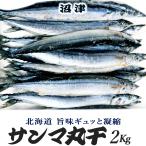 干物 沼津 さんま丸干し 2Kg 約30〜36匹 人気 北海道 秋刀魚 サンマ 干物セット 炉端焼き ひもの