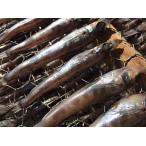 メヒカリ丸干し深海魚の人気者めひか...