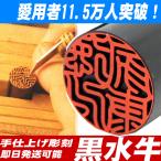 実印 印鑑 はんこ 黒水牛印鑑 作成 即日発送 銀行印 認印 10.5〜15mm ケース付印鑑セットも可 手彫り仕上げ 個人印鑑 男性 女性 夫婦