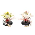  outlet кукла hinaningyo Sakura . одиночный товар Sakura . мидзухики корзина чёрный покрытие шт. . Sakura 