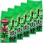 ゼンヤクノー 十六爽�