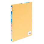 apika бухгалтерская книга leaf золотой sen ...LEAF306 B5