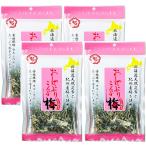  средний . предмет производство соска-пустышка . ткань (4 пакет, слива 40g)