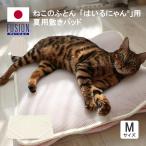 ペット ベッド はいるにゃんシリーズ 夏用敷パット M 旭化成フュージョン ゴムバンド 猫用 犬用 洗える 犬 猫 ペット用 敷パット 夏用 春用 秋用 ペットグッズ